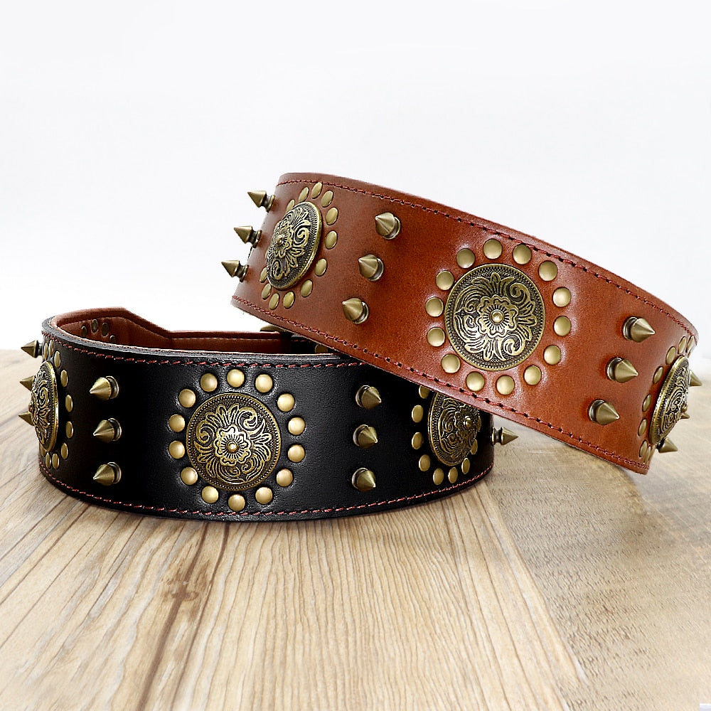 Cool pet dog collar