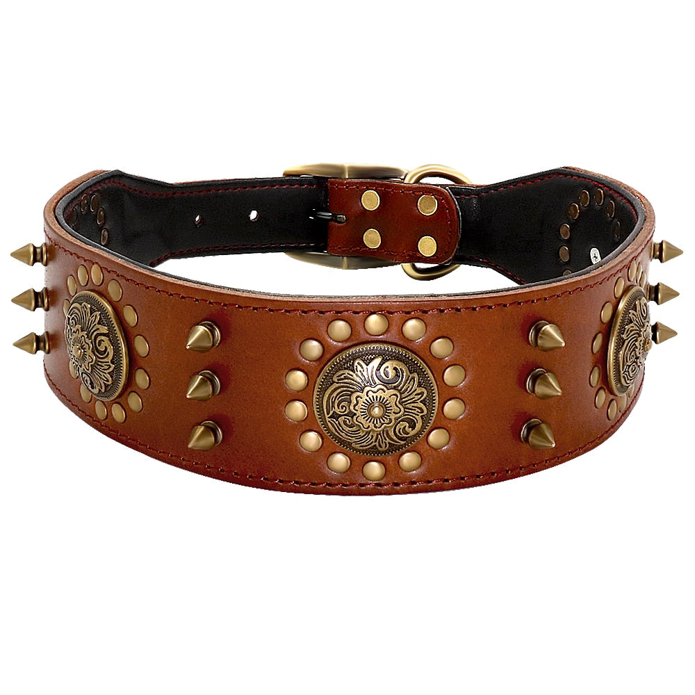 Cool pet dog collar