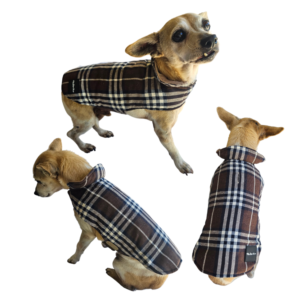 The Loving Hug Therapy Jacket for Dogs