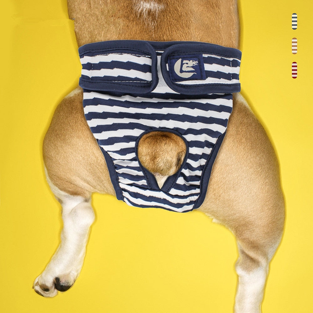 Washable, Menstruation, Female Dog Panties/Underwear