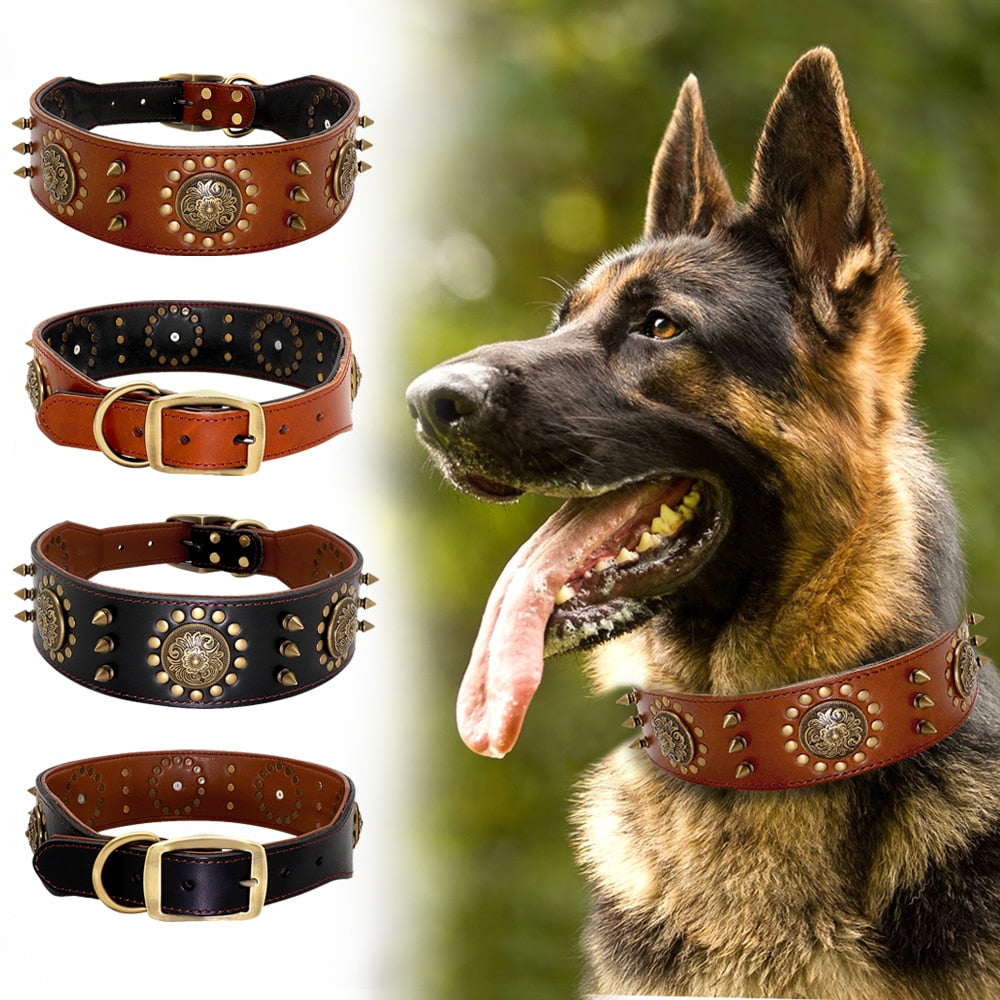 Cool pet dog collar