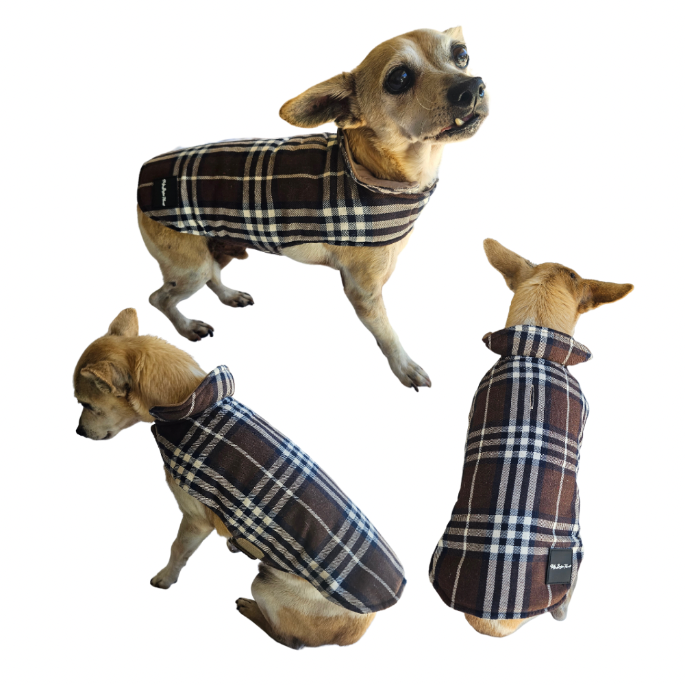 Magnetic Therapy Jacket for Small to Medium Dogs