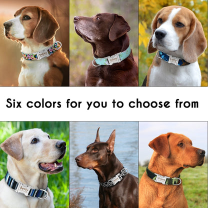 Dog Collar Personalized Nylon Pet Tag