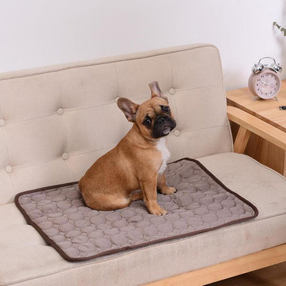 Dog cooling mat