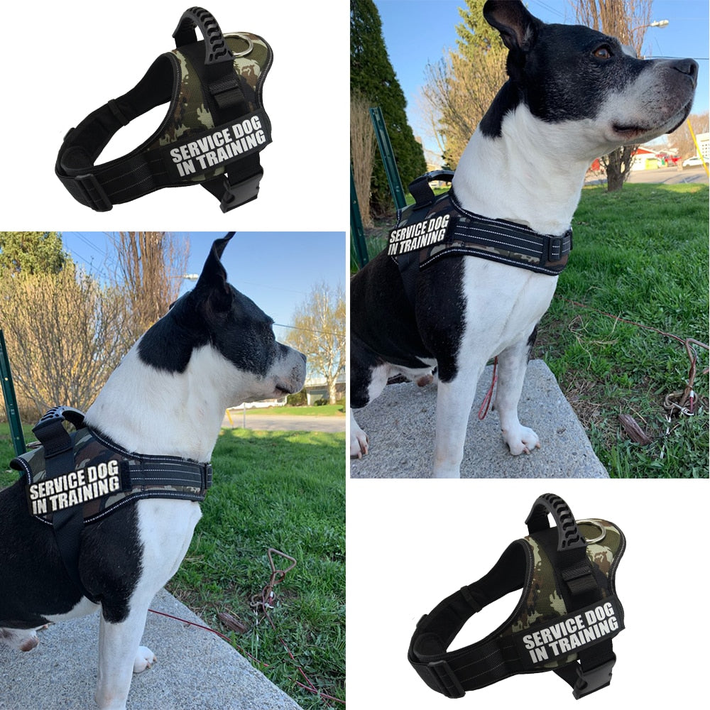 Dog  reflective vest harness XS-XXL for small and big dogs