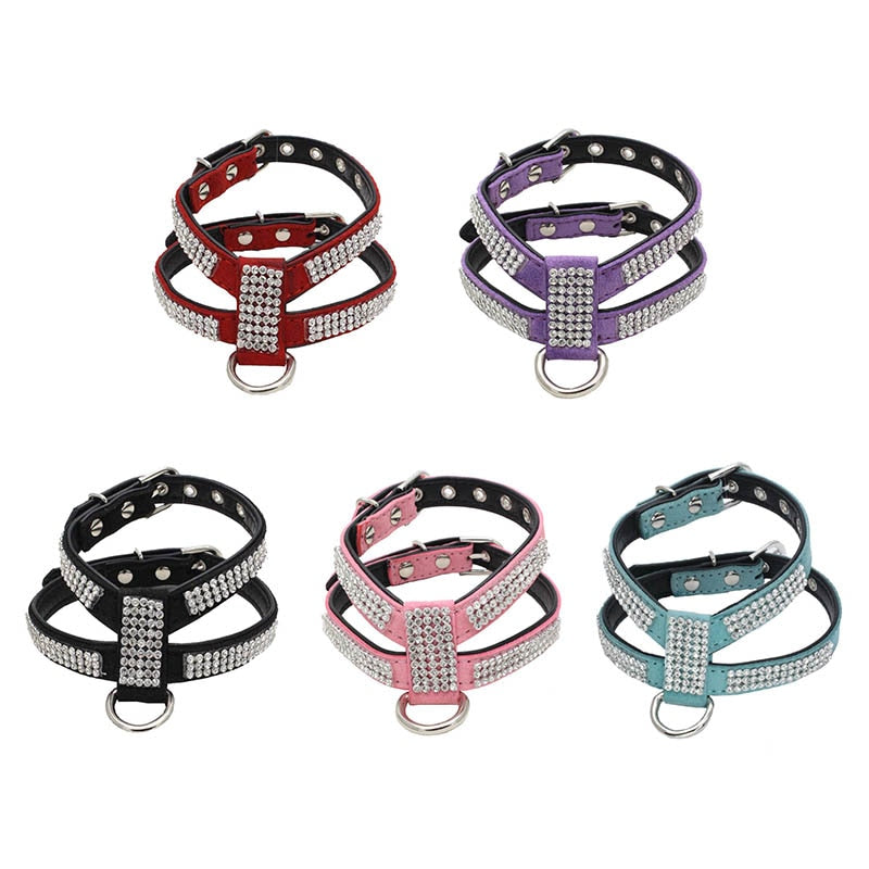 Bling shop shop dog harness