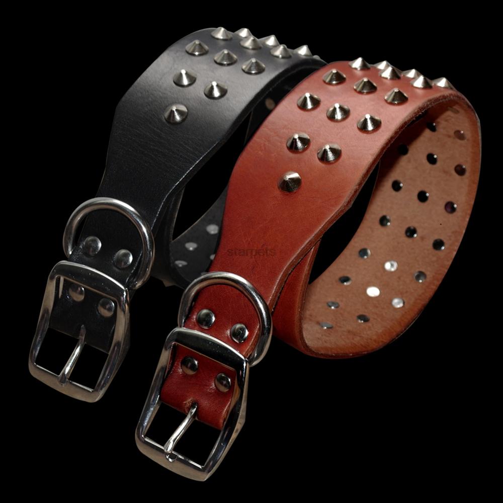 Cool rivets studded dog collar