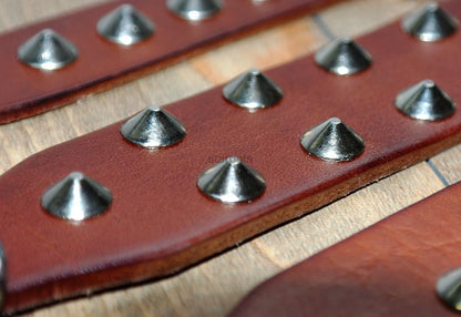 Cool rivets studded dog collar