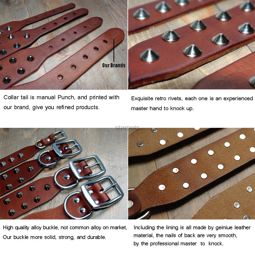 Cool rivets studded dog collar