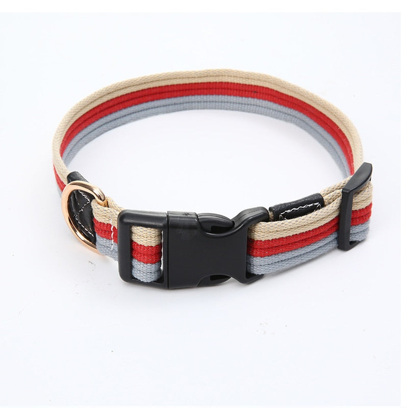 Thick, Adjustable, Canvas Pet Dog Leash and Collar