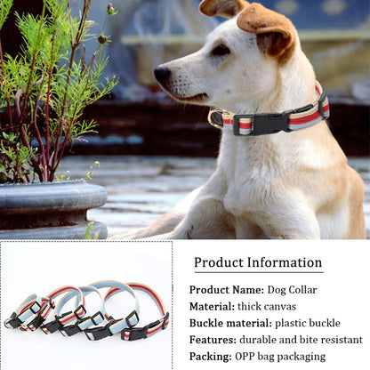 Thick, Adjustable, Canvas Pet Dog Leash and Collar