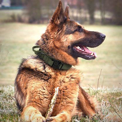 Tactical Dog Collar With Handle Durable Military Nylon