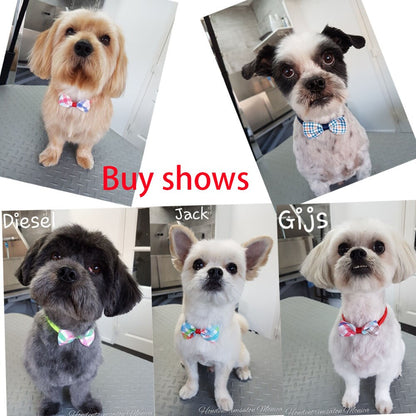 Pet bow ties for dog