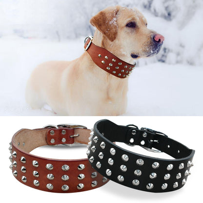 Cool rivets studded dog collar